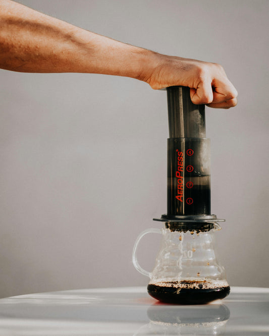 The Essential Guide to Buying Equipment for Home Brewing